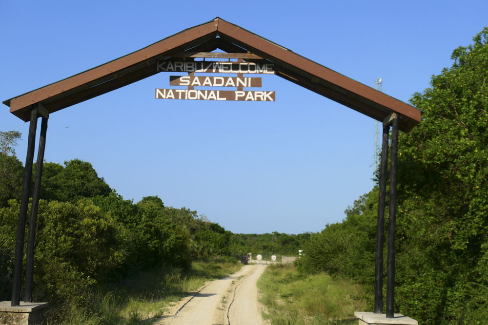 Nyerere National Park