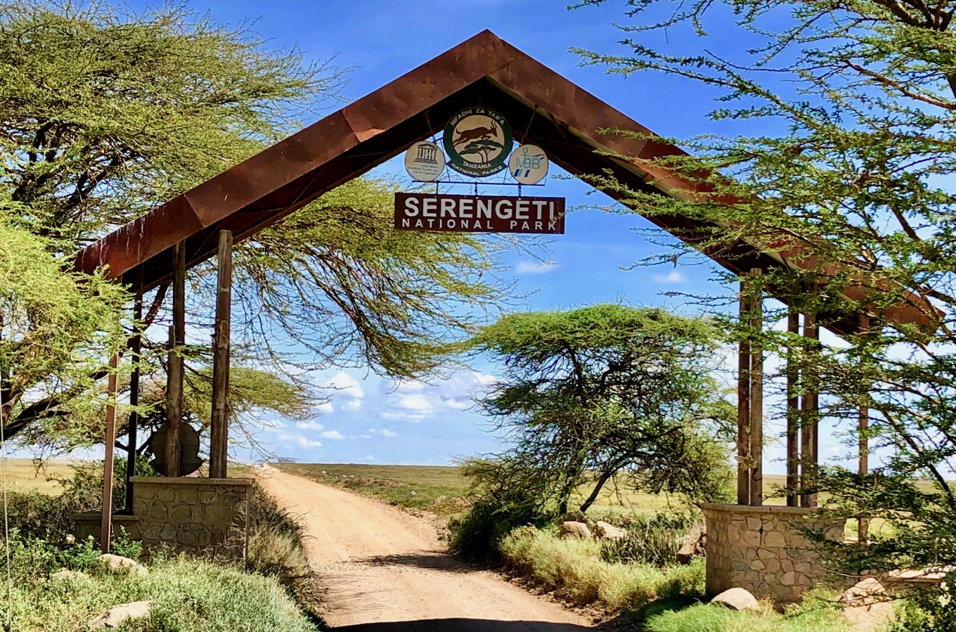 serengeti1